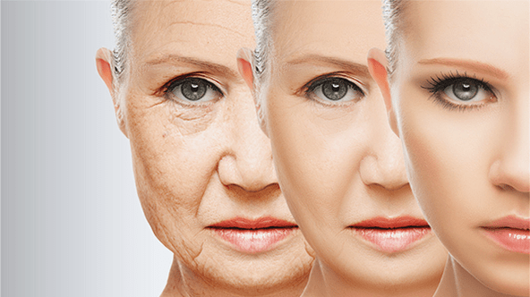 faze pomlađivanja kože lica